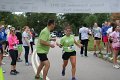 Camp and Walk photos 207